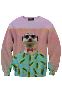 Sweater Hipster Meerkat