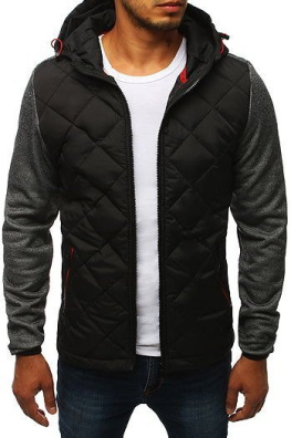 Men's transitional sports jacket graphite TX2813