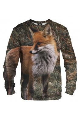 Sweater Fox